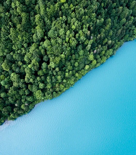 Proyecto ambiental de la Fundación Foro de Innovación y Tecnologías Limpias