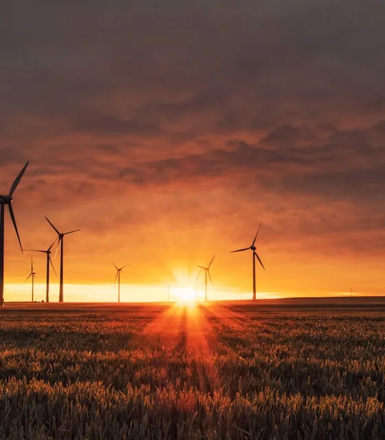 Servicios de energía limpia de la fundación